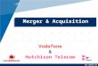 Merger Vodafone & Hutch - Anita