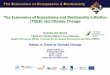 TEEB and climate by Patrick ten Brink of IEEP at Delta & Climate Conf Rotterdam 30 Sep 2010