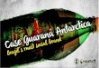 MSLGROUP Espalhe: Facebook Campaign For Guarana Antarctica