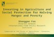 Investing in Agriculture and Social Protection for Halving Hunger and Poverty
