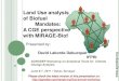 Land Use analysis of Biofuel Mandates: A CGE perspective with MIRAGE-Biof