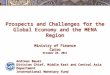 Prospects and Challenges for the Global Economy and the MENA Region