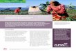 Briefing paper-agricultural-pricing-and-public-procurement1
