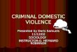 Criminal Domestic Violence