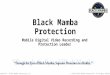 Black mamba protection pitch deck draft v3 final