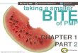 Taking smaller bites with PMP-Bite series - PMP Chapter 1 Part 3 (ORGANIZATIONAL STRUCTURE)