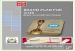 Brand plan for 2010   glycomet (us vitamin) - mitesh shah