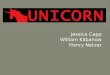 Unicorn initial project presentation