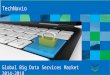 Global Big Data Services Market 2014-2018