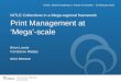 Print Management at "Mega"-scale: NITLE Collections in a Mega-regions Framework