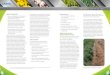 LibertyLink Liberty Integrated Pest Management_2013 Seed Trait Technology Manual Part 2