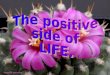 Positive side of life