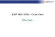 32795409 dilip-sadh-mm-wm-overview-06-09-10-scribe