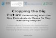 Cropping the Big Picture: Determining What the New Meta-Analysis Means for your Mentoring Program