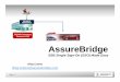 AssureBridge - B2B Partner Demands SSO - Marketing Presentation