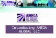 Amega global introduction