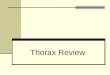 Thorax Review