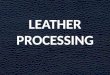 Leather processing