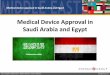 Medical Device Approval in Saudi Arabia and Egypt