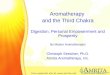Aromatherapy and the Third Chakra - Amrita Aromatherapy