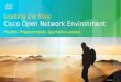 Cisco Open Network Environment