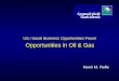 Opportunities in Oil & Gas