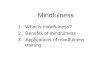 Mindfulness for trainer's workshop