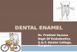 Dental Enamel