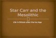 Star Carr and the Mesolithic