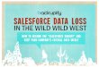 Salesforce Data Loss in the Wild Wild West