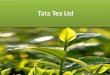 Tata Tea Ltd - Garima Mam