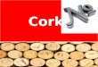 Cork by Numbers