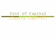 Cost of Capital (Equity Capital)