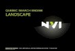 Canadian Search Landscape | NVI (July 6th 2008)