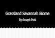Joseph's Grassland Savannah Biome Presentation
