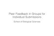 Peer feedback - Paul McLaughlin