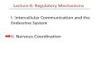 Lecture 8 regulatory mechanisms part 2