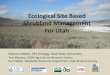 Ecological Site Based Shrubland Management For Utah by Rebecca Mann, USU