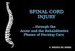 SPINAL CORD INJURY PPT