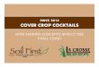 Real impacts of cover crop cocktails