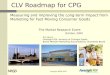 Clv Roadmap For Cpg The Marketing Research Event
