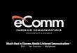 Peter Ecclesine - Presentation at Emerging Communications Conference & Awards (eComm 2011)