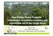 Non-Timber Forest Products: contribution to national economy and sustainable use in the Congo Basin