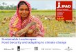 Sustainable Landscapes: Food Security and adapting to climate change