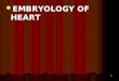 6.embryology of heart n lung