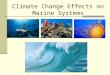 13   effects on oceans - updated