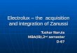 Electrolux The Acquisition & Integration of Zanussi