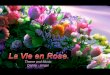 1 flowers-roses-3