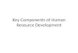Key Components of Human Resource Development
