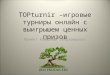 Презентация игровых турниров онлайн "TOPTurnir"